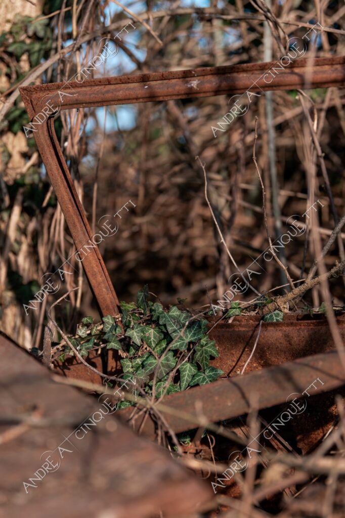 terzo paesaggio abbandonato abandoned ruggine rust relitto wreck auto car rottami scrap wreckage