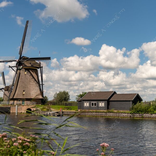 olanda holland paessi bassi the netherlands kinderdijk mulini a vento windmill windmills nuvole clouds canale channel canal vie d'acqua waterways casa house home