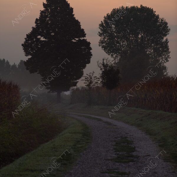 balbiano colturano campagna countryside alba sunrise tramonto sunset sundown crepuscolo twilght dusk
