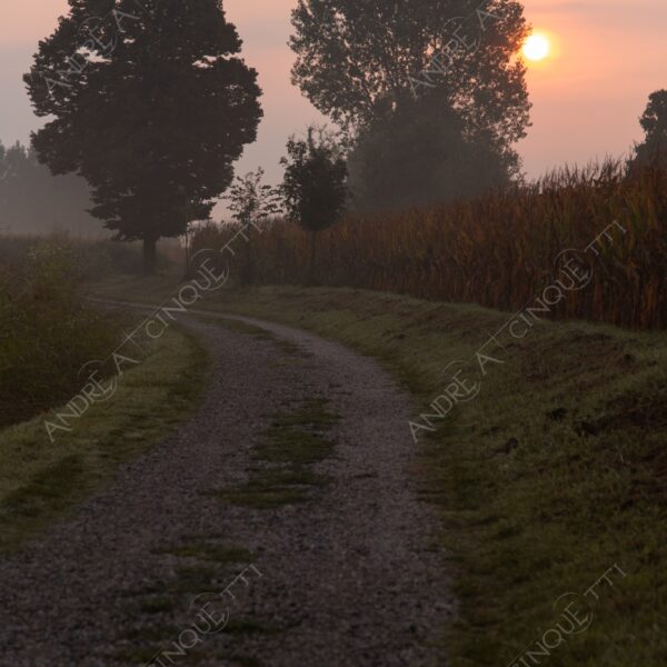 balbiano colturano campagna countryside alba sunrise tramonto sunset sundown crepuscolo twilght dusk blue hour sole sun