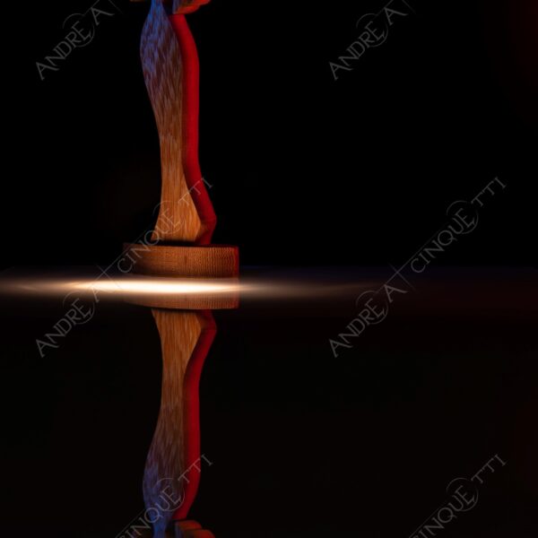 still life studio photography opera d'arte artwork legno wood ombra shadow prfilo silhouette riflessi reflections specchio mirror ballerina dancer angelo angel