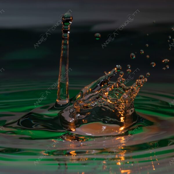 macro photography goccia gocce d'acqua water drop drops high speed sync riflessi reflections splash colori colours bounce bouncing cigno swan