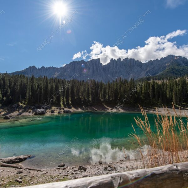 Lago di Carezza lago lake smeraldo emeraldo ali alps alpino montagne mountains dolomiti bosco woods riflessi reflections nuvole clouds sole sun