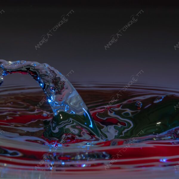 macro photography goccia gocce d'acqua water drop drops high speed sync riflessi reflections splash colori colours bounce bouncing lumaca snail