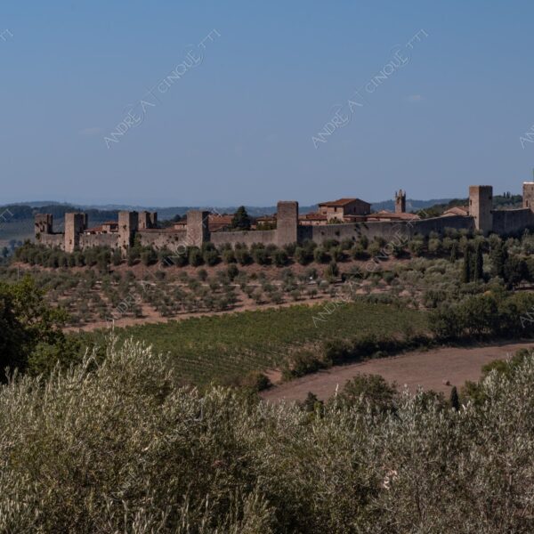 toscana tuscany crete senesi colline hills monteriggioni ulivi olive trees mura di cinta boundary walls torri towers