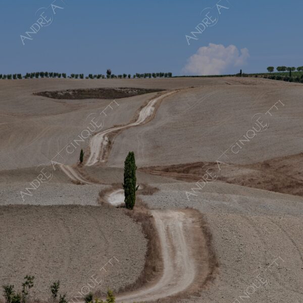 toscana tuscany colline hills val d'orcia