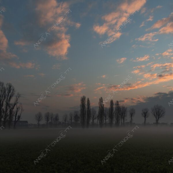 balbiano colturano campagna countryside alba sunrise tramonto sunset sundown crepuscolo twilght dusk nebbia fog foschia misty sole sun