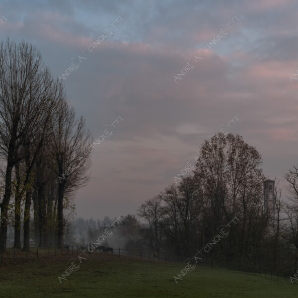 balbiano colturano campagna countryside alba sunrise tramonto sunset sundown crepuscolo twilght dusk nebbia fog foschia misty sole sun