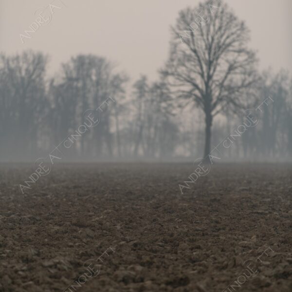 balbiano colturano campagna countryside alba sunrise tramonto sunset sundown crepuscolo twilght dusk nebbia fog foschia misty