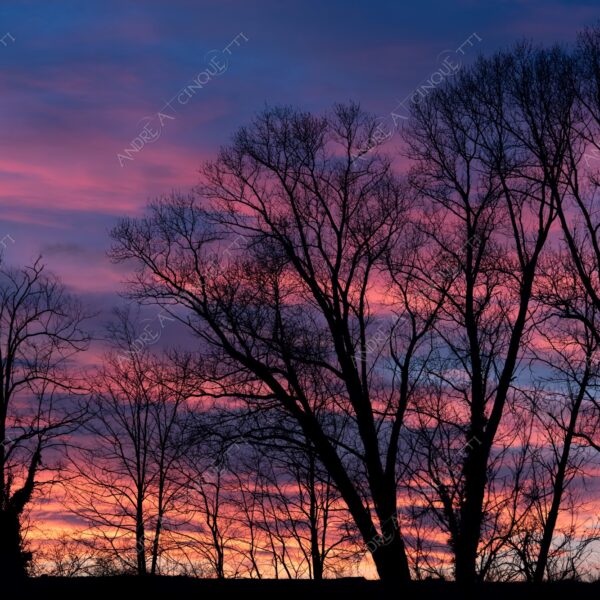 balbiano colturano campagna countryside alba sunrise tramonto sunset sundown crepuscolo twilght dusk blue hour