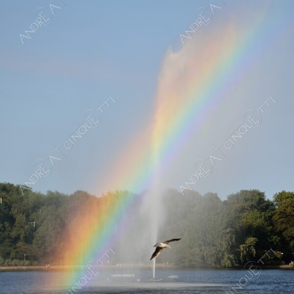 germania germany amburgo hamburg lago lake loch pond arcobaleno rainbow gabbiano seagull