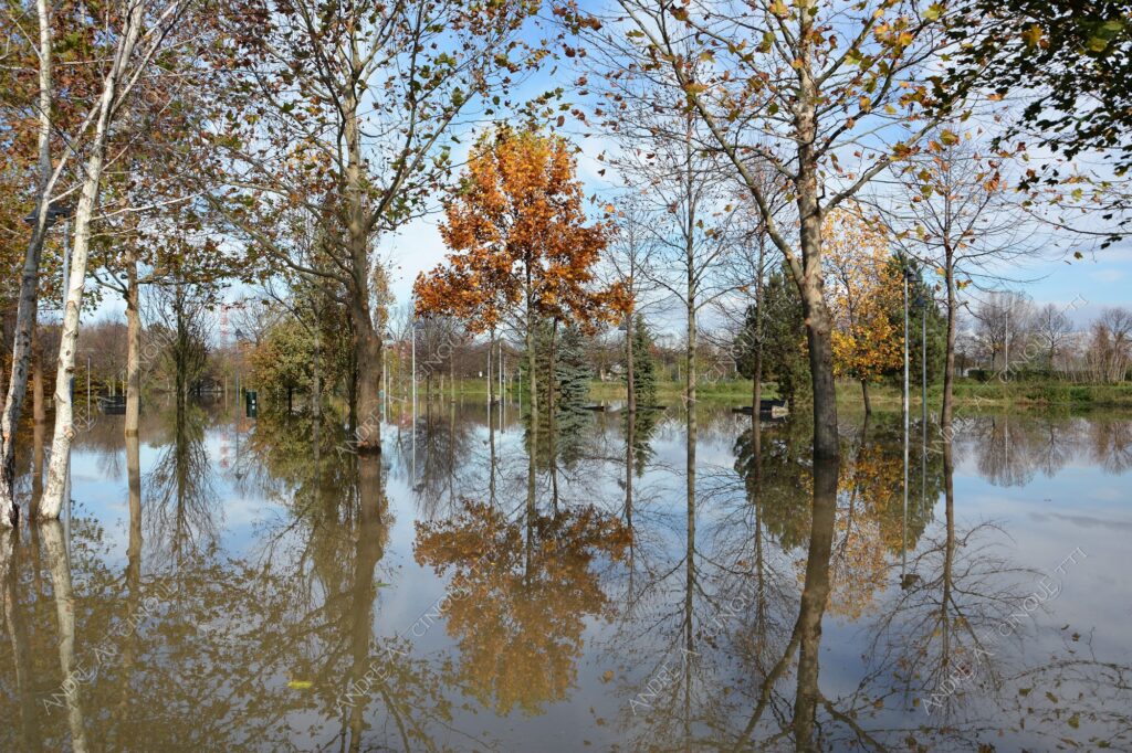san donato milanese alluvione flood allagamento flooding riflessi reflecions specchio mirror pozzanghera puddle colori autunnali foliage parco