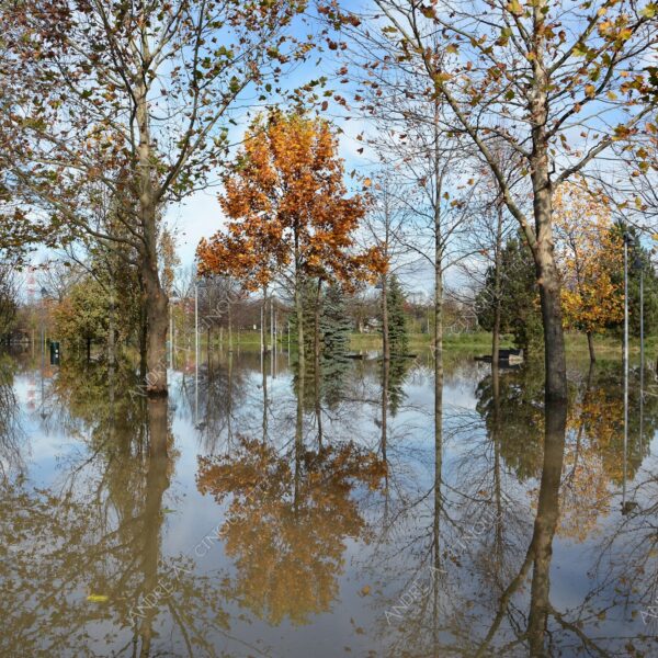 san donato milanese alluvione flood allagamento flooding riflessi reflecions specchio mirror pozzanghera puddle colori autunnali foliage parco