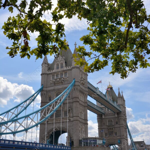 inghilterra england regno unito united kingdom londra london architettura architecture fiume river tamigi thames ponte bridge tower bridge prospettiva perspective