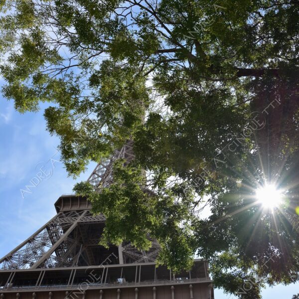 francia france parigi paris tour eiffel luci lights champ de mars prospettiva perspective sole sun