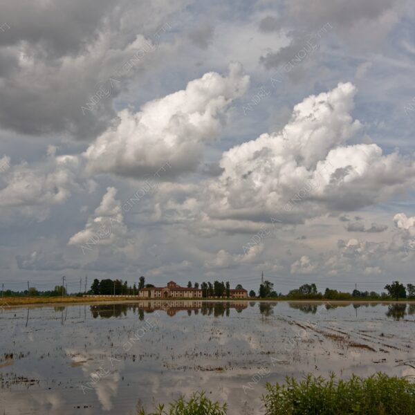 trino vercelli trino vercellese piemonte nuvole clouds cascina farm riflessi reflections specchio mirror risaia rice field paddy field allagata flooded